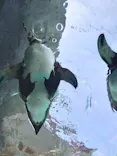 天王寺動物園に投稿された画像（2024/3/30）
