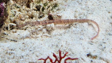 環境水族館アクアマリンふくしまに投稿された画像（2024/3/30）