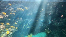 環境水族館アクアマリンふくしまに投稿された画像（2024/3/30）