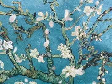 ゴッホ・アライブに投稿された画像（2024/3/30）