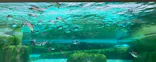 天王寺動物園に投稿された画像（2024/3/30）
