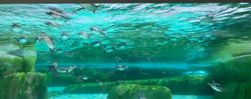 天王寺動物園に投稿された画像（2024/3/30）