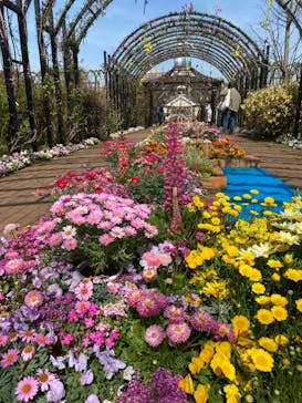 横浜イングリッシュガーデンに投稿された画像（2024/3/30）