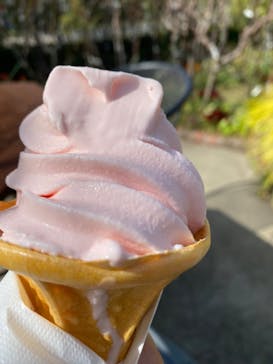 横浜イングリッシュガーデンに投稿された画像（2024/3/30）