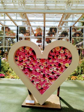 浜名湖花博2024に投稿された画像（2024/3/30）