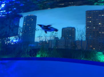 サンシャイン水族館に投稿された画像（2024/3/30）