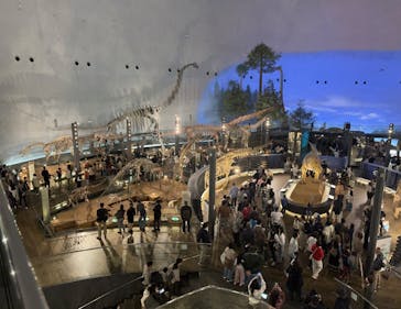 福井県立恐竜博物館に投稿された画像（2024/3/30）