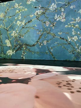 ゴッホ・アライブに投稿された画像（2024/3/30）