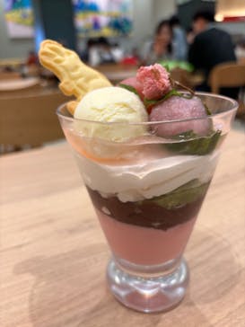 福井県立恐竜博物館に投稿された画像（2024/3/30）