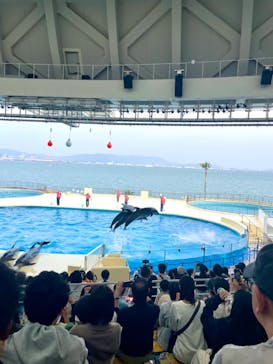 マリンワールド海の中道に投稿された画像（2024/3/30）