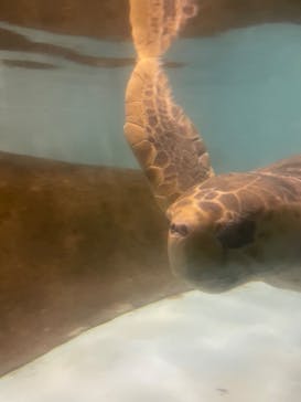 マリンワールド海の中道に投稿された画像（2024/3/30）