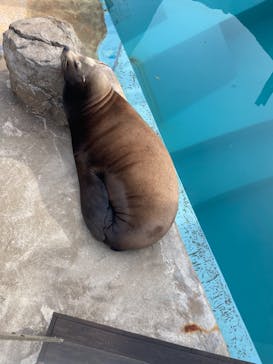 マリンワールド海の中道に投稿された画像（2024/3/30）