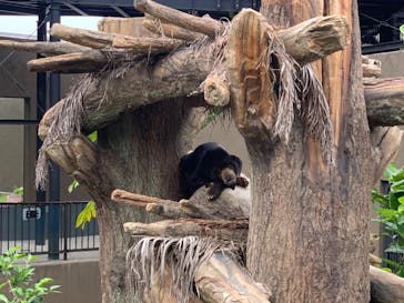 沖縄こどもの国に投稿された画像（2024/3/30）