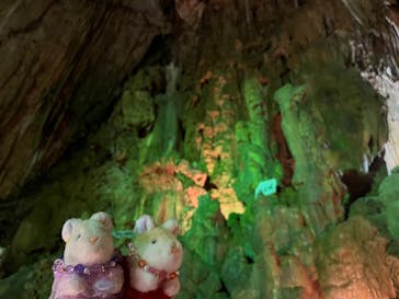 あぶくま洞に投稿された画像（2024/3/30）