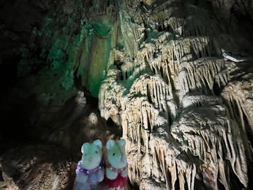 あぶくま洞に投稿された画像（2024/3/30）