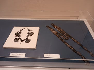 特別展　コスチュームジュエリー 美の変革者たち　シャネル、ディオール、スキャパレッリ　小瀧千佐子コレクションよりに投稿された画像（2024/3/30）