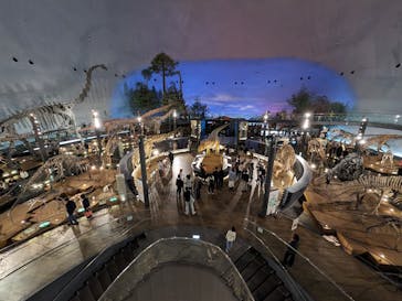 福井県立恐竜博物館に投稿された画像（2024/3/30）