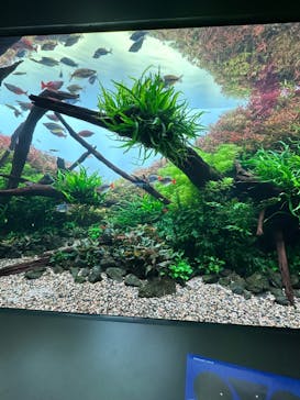 AOAO SAPPOROに投稿された画像（2024/3/30）