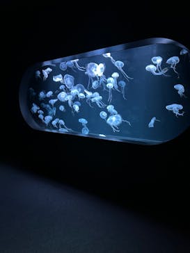 AOAO SAPPOROに投稿された画像（2024/3/30）