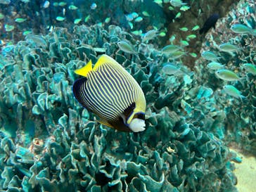 サンシャイン水族館に投稿された画像（2024/3/30）