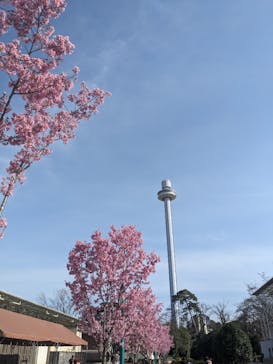 西武園ゆうえんちに投稿された画像（2024/3/30）