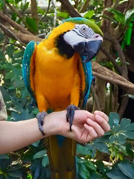 神戸どうぶつ王国に投稿された画像（2024/3/30）