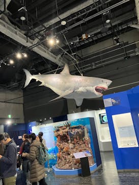 特別展「海　―生命のみなもと―」名古屋市科学館に投稿された画像（2024/3/30）