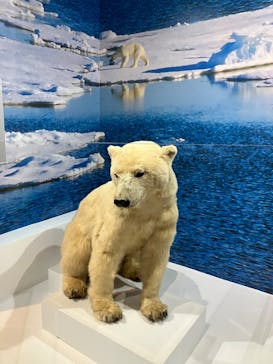 特別展「海　―生命のみなもと―」名古屋市科学館に投稿された画像（2024/3/30）