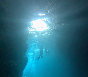 青の洞窟専門店　沖縄ダイビングショップ和に投稿された画像（2024/3/30）