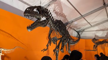 オダイバ恐竜博覧会2024 -福井から“ヤツラ”が新幹線でやってくる！-に投稿された画像（2024/3/30）