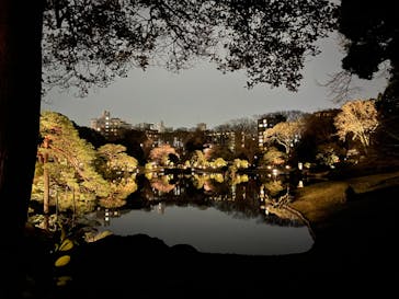 六義園に投稿された画像（2024/3/30）