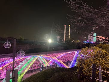 マリオンクレープに投稿された画像（2024/3/30）