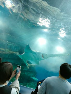 マクセル アクアパーク品川に投稿された画像（2024/3/30）