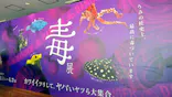 仙台うみの杜水族館に投稿された画像（2024/3/30）