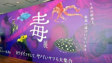 仙台うみの杜水族館に投稿された画像（2024/3/30）