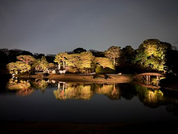 六義園に投稿された画像（2024/3/30）