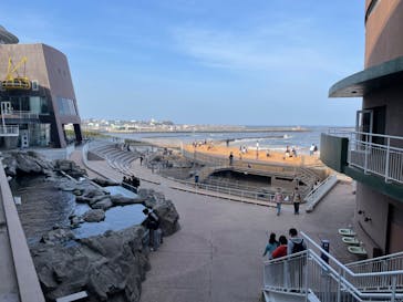 アクアワールド茨城県大洗水族館に投稿された画像（2024/3/30）