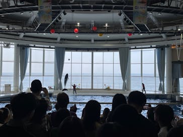 アクアワールド茨城県大洗水族館に投稿された画像（2024/3/30）