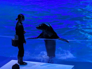 アクアワールド茨城県大洗水族館に投稿された画像（2024/3/30）