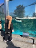 東武動物公園に投稿された画像（2024/3/30）