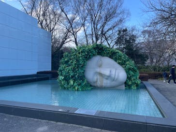 彫刻の森美術館に投稿された画像（2024/3/17）