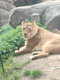 天王寺動物園に投稿された画像（2024/3/30）