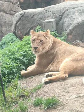 天王寺動物園に投稿された画像（2024/3/30）