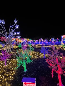 伊豆ぐらんぱる公園に投稿された画像（2024/3/30）