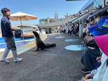 大分マリーンパレス水族館 「うみたまご」に投稿された画像（2024/3/30）