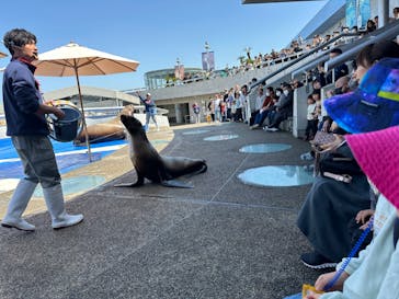 大分マリーンパレス水族館 「うみたまご」に投稿された画像（2024/3/30）