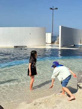 大分マリーンパレス水族館 「うみたまご」に投稿された画像（2024/3/30）