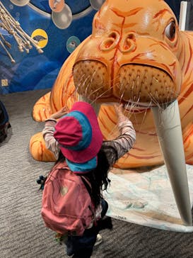 大分マリーンパレス水族館 「うみたまご」に投稿された画像（2024/3/30）