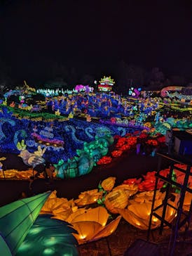 伊豆ぐらんぱる公園に投稿された画像（2024/3/30）