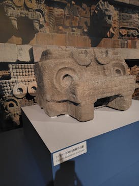 特別展「古代メキシコ ーマヤ、アステカ、テオティワカン」に投稿された画像（2024/3/30）